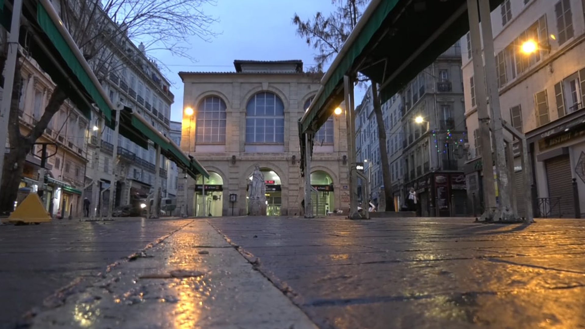 Noailles nid d’abeilles