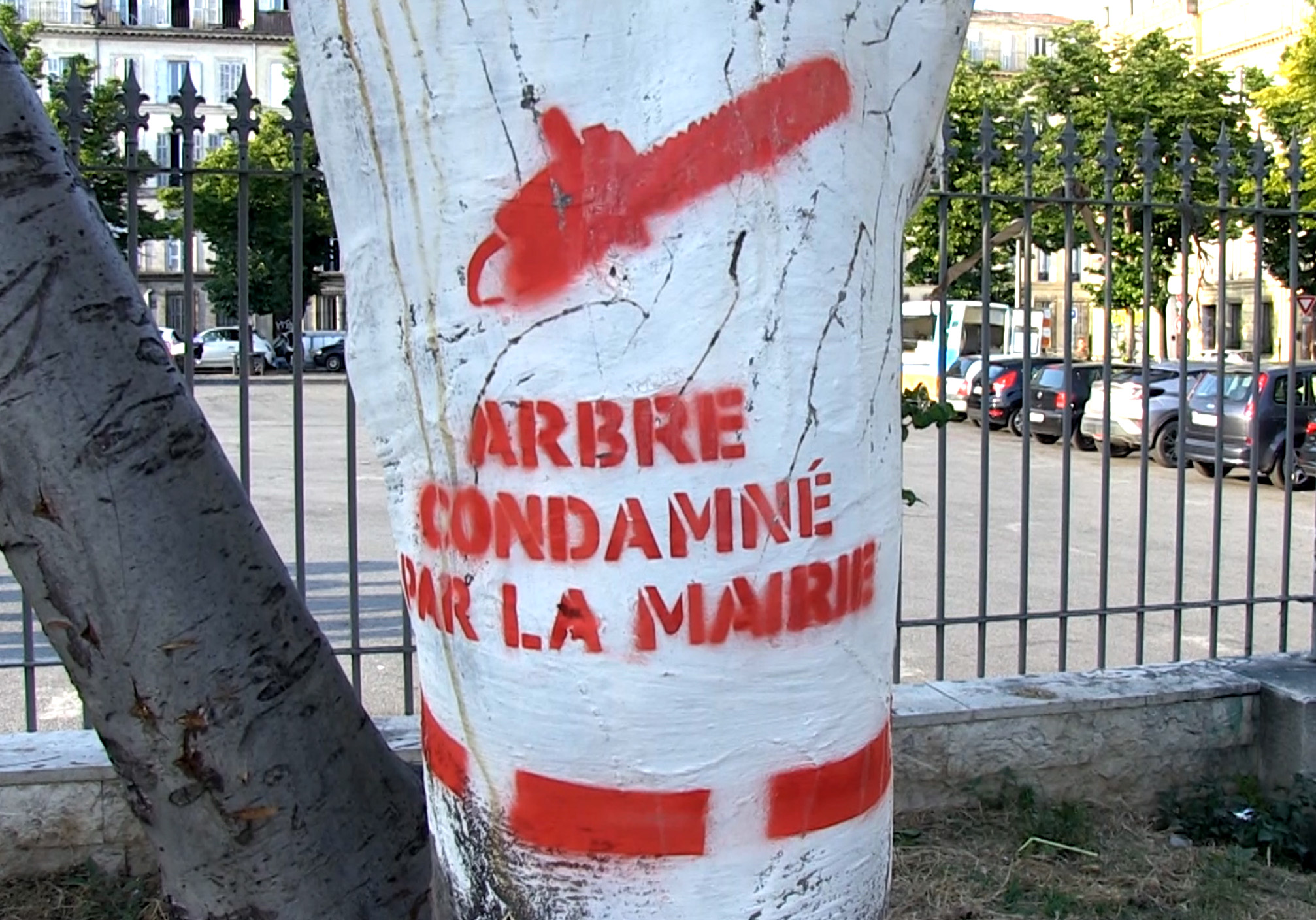 Accorchez vous aux arbres