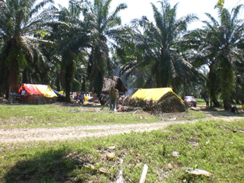 Honduras : l&rsquo;armée a lancé l&rsquo;assaut contre une communauté sans défense.
