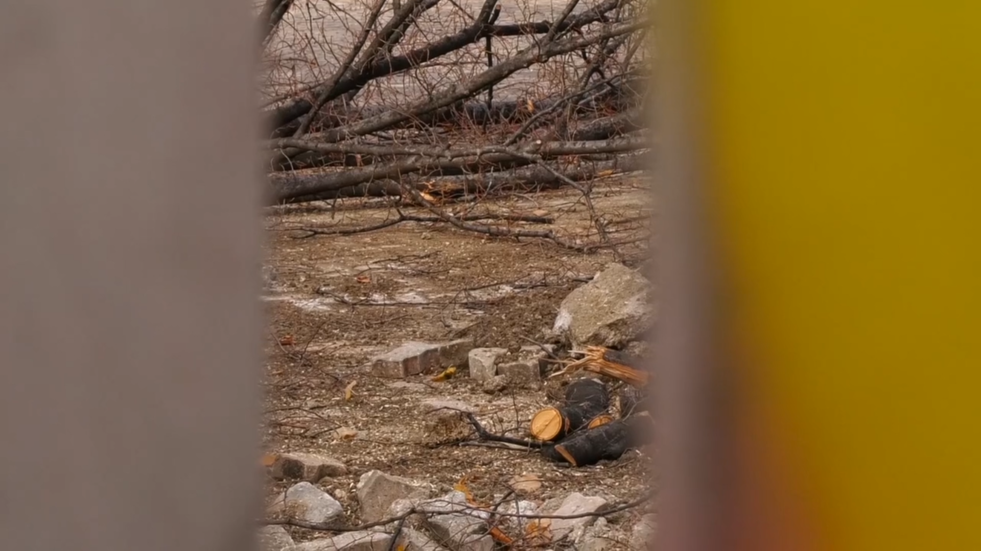 Les racines de la Colère